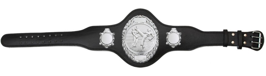 KICKBOXING TITLE BELT - PLT286/S/KBOS-4 COLOURS
